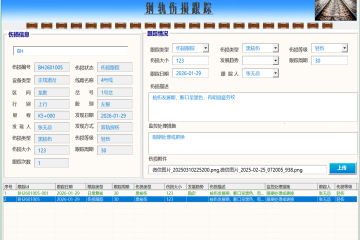 钢轨伤损管理系统专业版