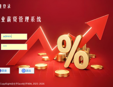 企业薪资管理系统专业版